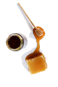 Salem New Hampshire Farmers Market – These are the hands that feed you