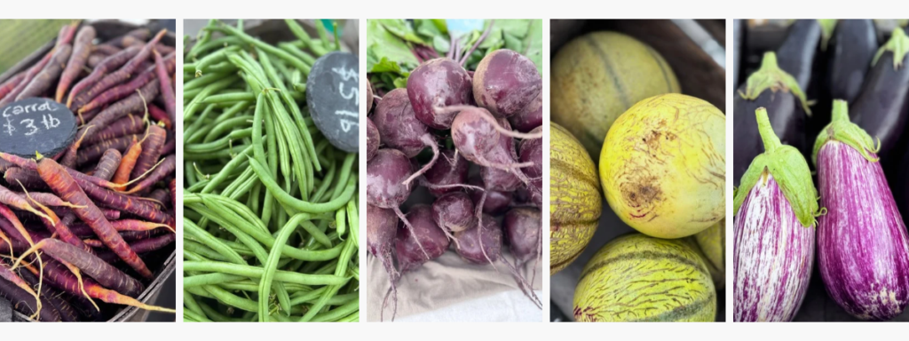 hungry bear pictures of different vegetables